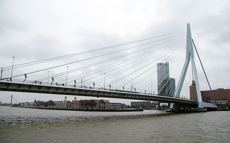 Rotterdam Blog